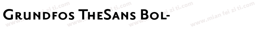 Grundfos TheSans Bol字体转换